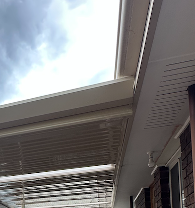 Fascia